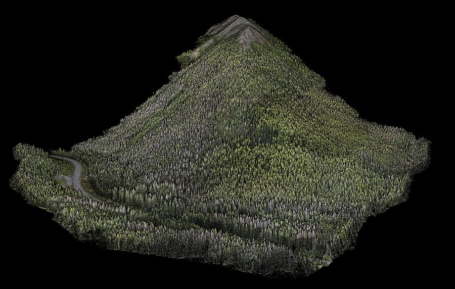 Colourised LiDAR point cloud of a forested slope